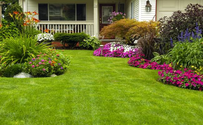 Lawn and Landscaping with flower beds