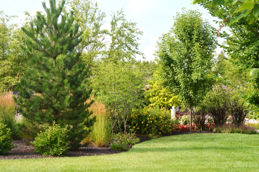 Annual flowers in edged bed