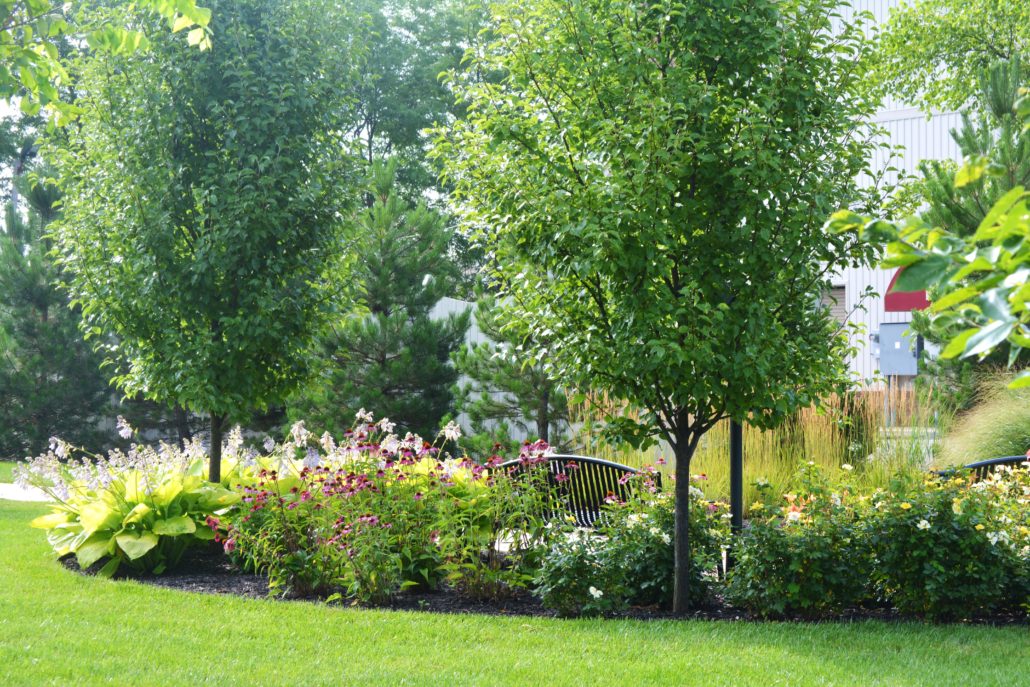 Annual flowers around a spotlight park bench