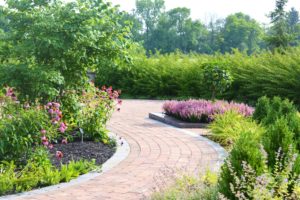 Brick walkway and annual flowers