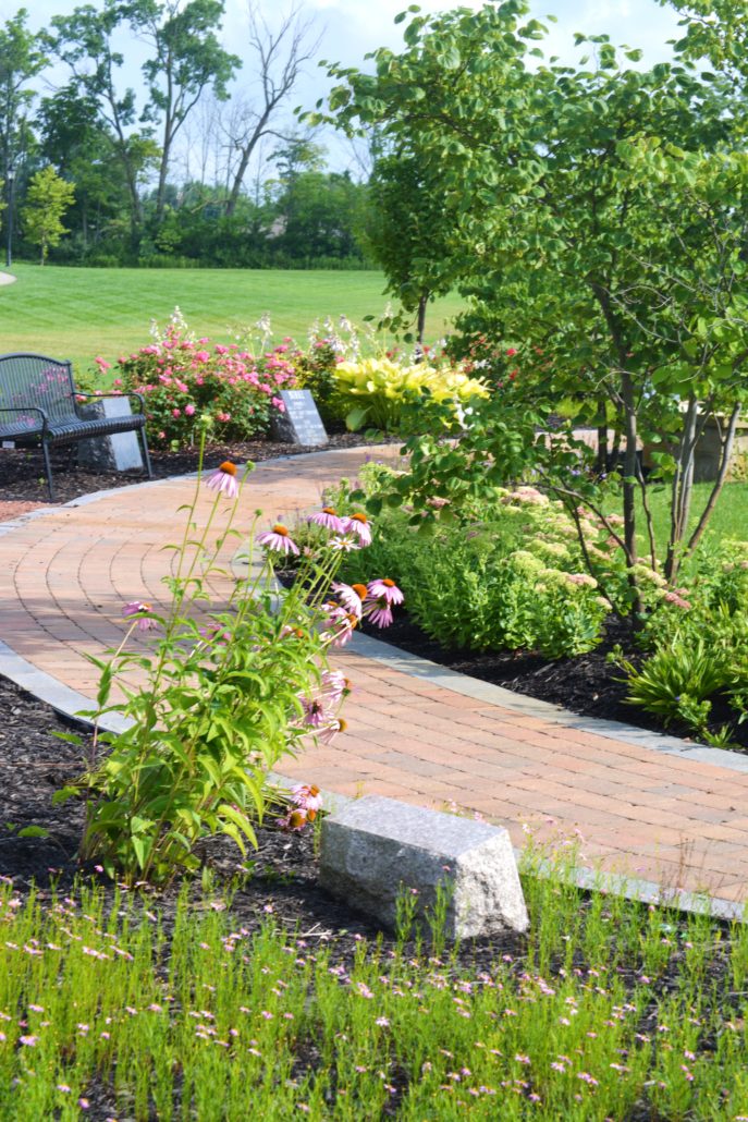 Brick path and annual flowers