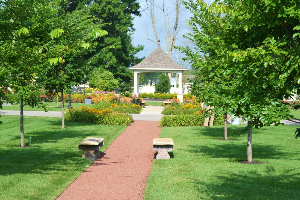 Pergola, pathway, and annual flowers