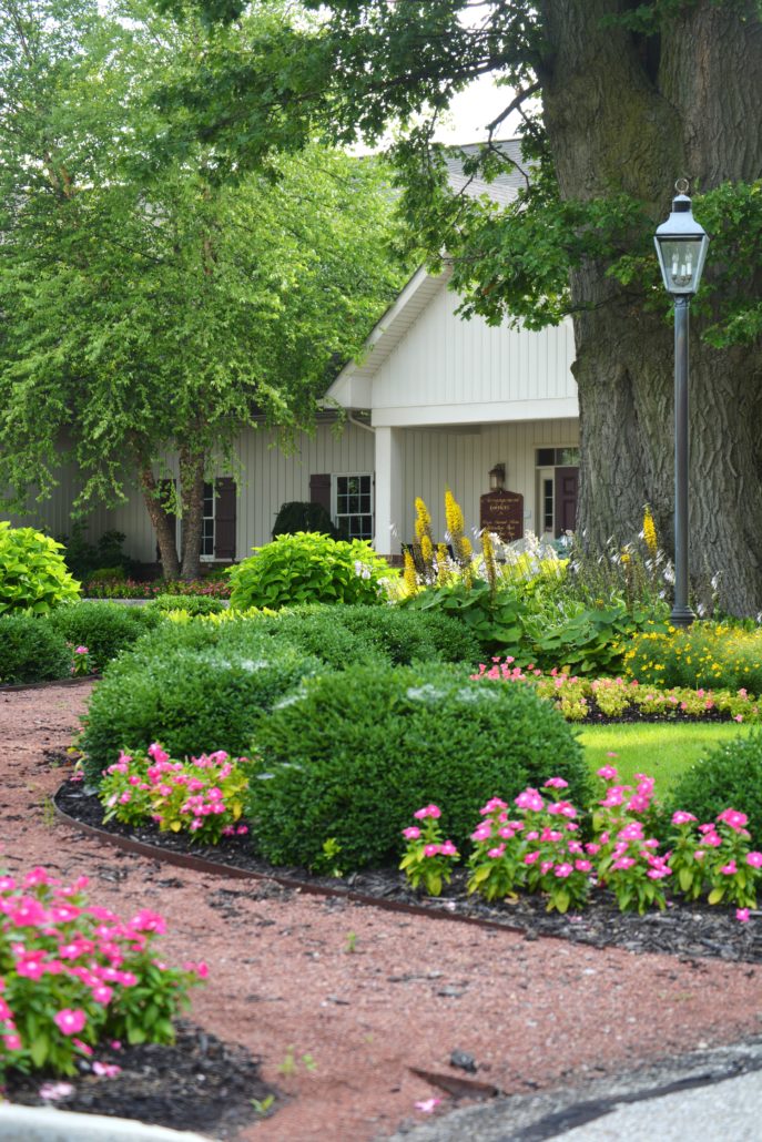 Path lined with fresh flowers leading to entryway of local business