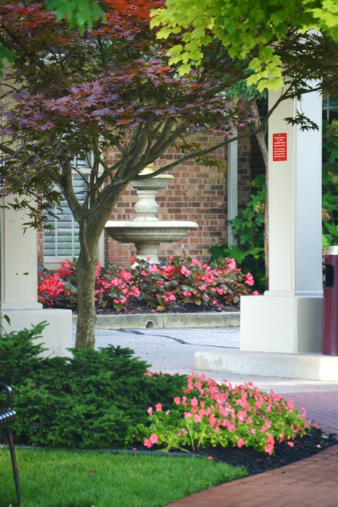 Outdoor fountain with planted Begonias