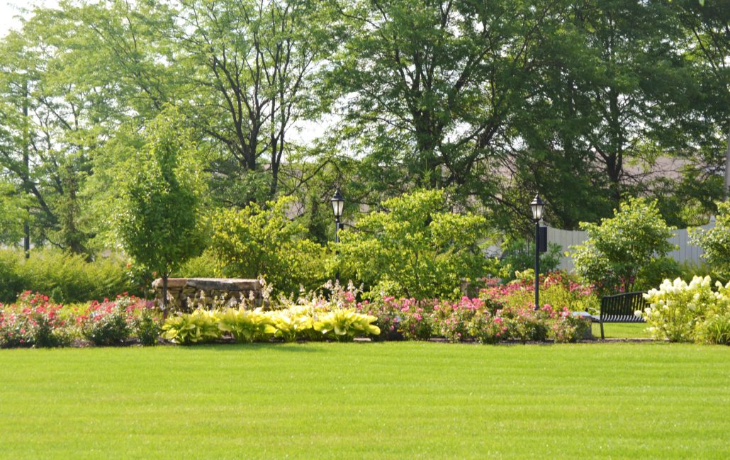 Healthy lawn and flower beds
