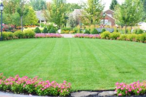Mowed lawn inside of large circular flowerbed