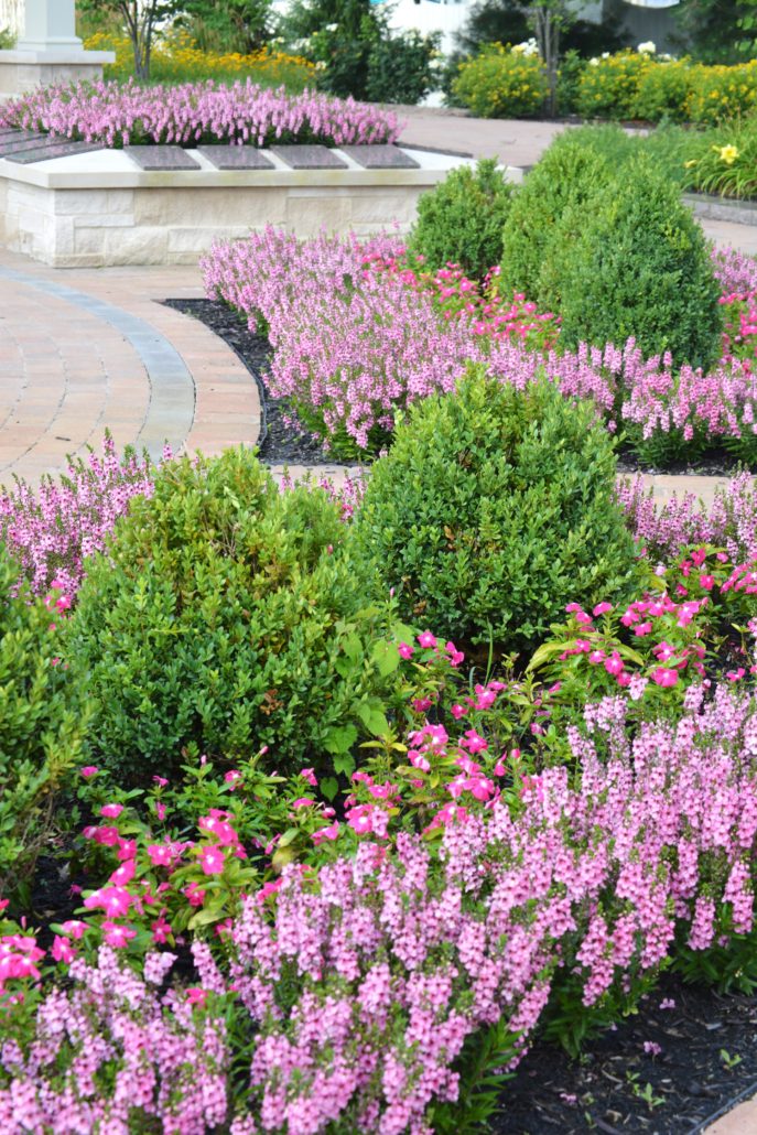 Shrubs and annuals in mulched bed