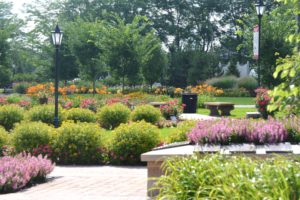 Full view of Plant Studio Landscape services