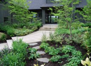 Stepping stones, landscaping and paver